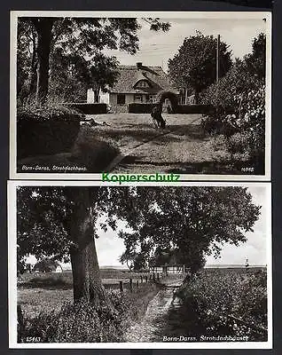 Ansichtskarte Born Darss Strohdachhaus Fotokarte 1940 1941