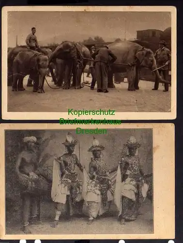 2 Ansichtskarte Circus Willy Hagenbeck Gross Raubtierschau Elefanten Transport Ceylo