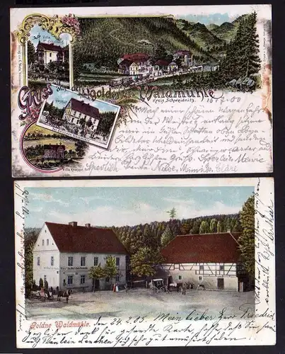 2 Ansichtskarte Goldene Waldmühle Kr. Schweidnitz Litho 1900 Villa zur Erholung Vill
