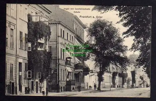 Ansichtskarte Frankfurt an der Oder 1911 Anger Landwirtschaftl. Schule