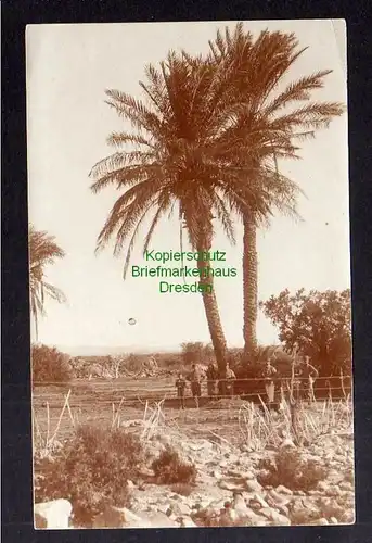 Ansichtskarte DSW Windhuk Fotokarte 1913 Soldaten unter Palmen