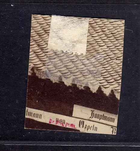 B2573 Kiautschou 19 Luxus Briefstück Litsun 1906