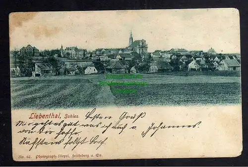 Ansichtskarte Liebenthal Schlesien Bez. Liegnitz 1905 Panorama