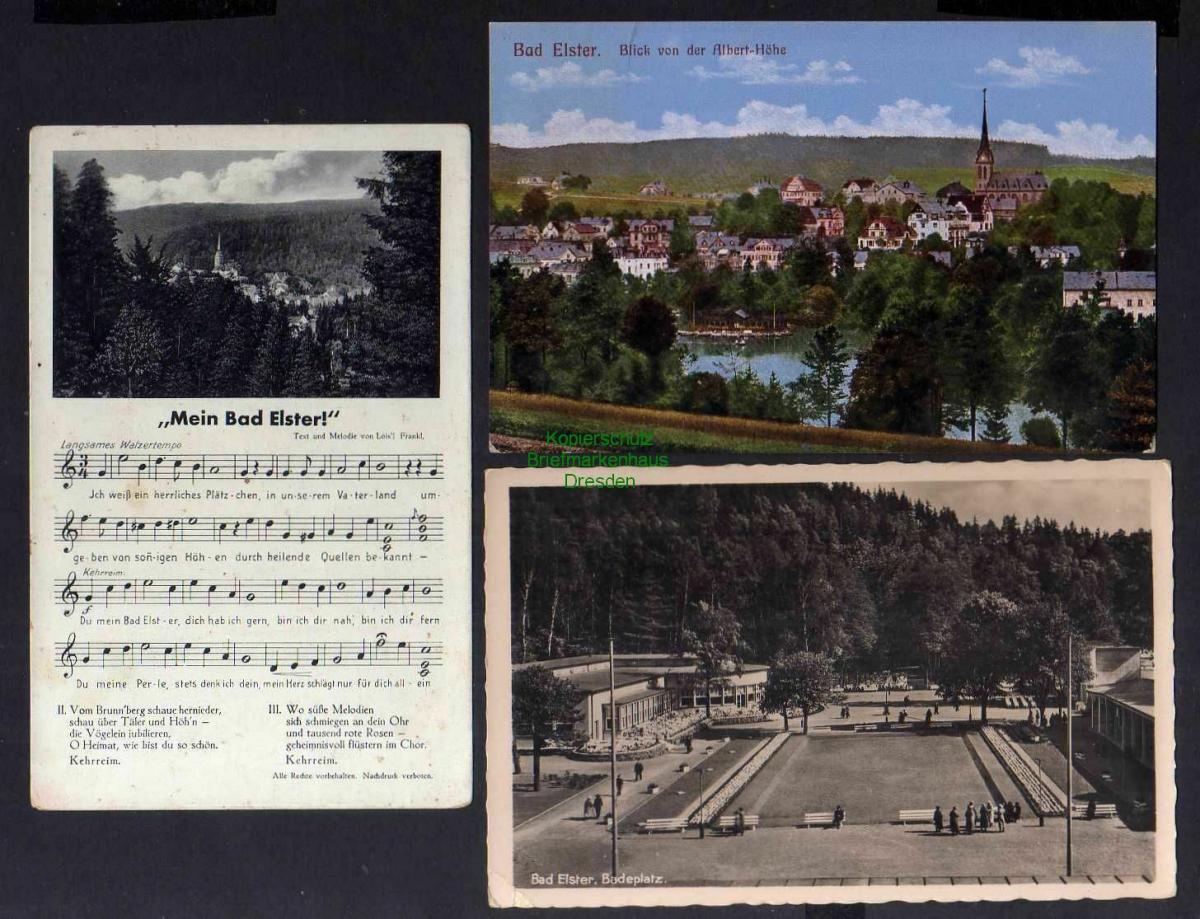 3 Ansichtskarte Bad Elster Blick von der Alberthöhe 1917