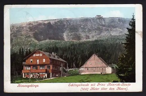 36021 AK Riesengebirge 1906 Schlingelbaude mit Prinz