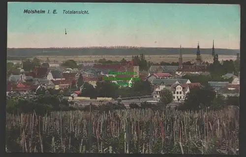 149196 AK Molsheim i. E. Totalansicht Feldpost Landsturm Wasserburg 1916