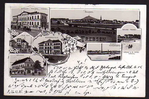 81598 AK Trebsen Mulde Papierfabrik Bahnhof Rathaus Bürgerschule 1895