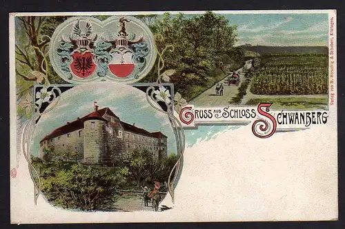 80594 AK Schloss Schwanberg 1907 Wappen Jugendstil