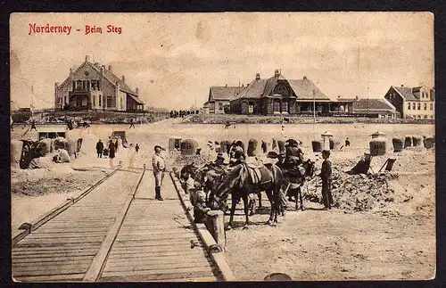 74773 AK Norderney Beim Steg 1906 Pferd Esel