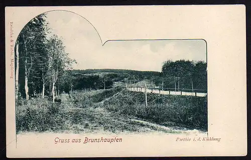 68502 AK Brunshaupten in der Kühlung 1905