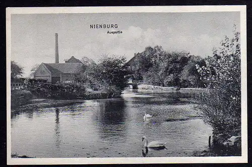 66839 AK Nienburg Weser Auepartie Brücke  1909