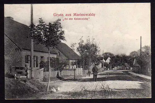 48361 AK Marienwalde Kreis Arnswalde 1911 An der Kaisereiche 1911 Bierzwnik