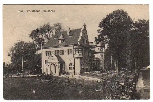 42774 AK Paulsborn Königl. Forsthaus 1916