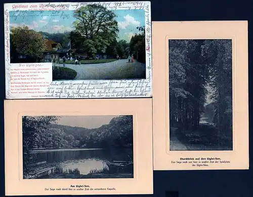 41244 3 AK Gasthaus zum Uglei mit 600jähriger Rieseneiche See Gremsmühlen 1902