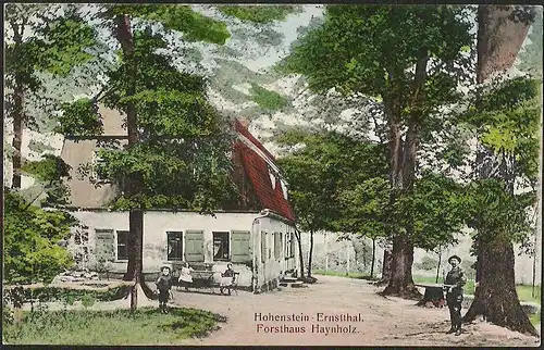 23913 AK Hohenstein Ernstthal Forsthaus Haynholz 1909 Gaststätte Restaurant Gast