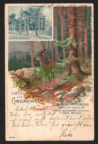 140006 AK Litho Berlin Grunewald Seeschloss Pichelsberge Restaurant Spez Breslau