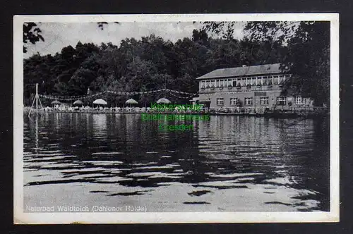 124852 AK Dahlener Heide Naturbad Waldteich 1941 Wurzen Schmannewitz