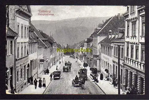 120376 AK Triberg im Schwarzwald 1919 Hauptstrasse