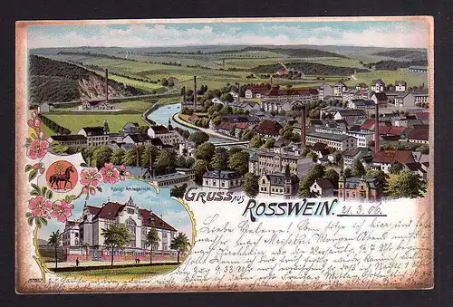 99923 AK Rosswein Litho 1906 Panorama Amtsgericht