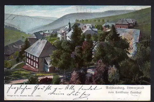 78165 AK Todtnauberg Baden 1904 vom Landhaus Herrihof