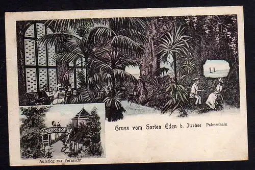 78609 AK Garten Eden bei Itzehoe Palmenhain 1907