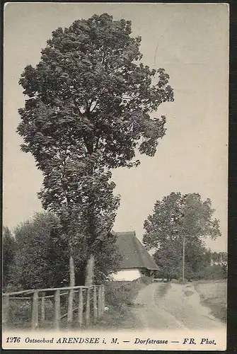 24317 AK Ostseebad Arendsee Dorfstrasse großer Baum, gelaufen 1911