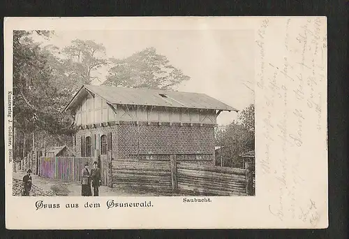 21433 AK Grunewald Saubucht  Halensee  Westend 1906 ,  Verlag J. Goldiner Berlin