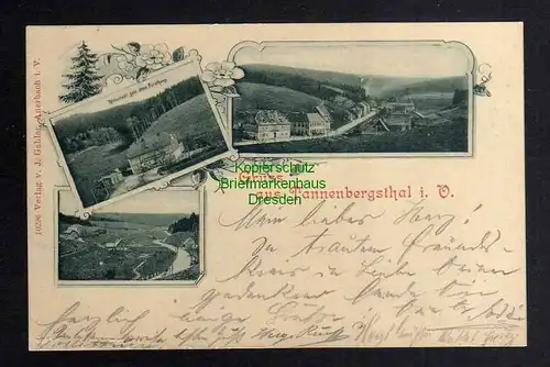 122951 AK Tannenbergsthal Vogtland Restaurant zum alten Forsthaus 1899