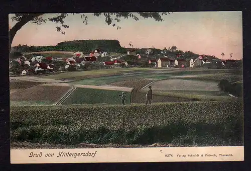 110181 AK Hintergersdorf bei Hartha 1907 Panorama