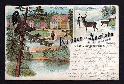106374 AK Zellerfeld 1897 Oberharz Kurhaus zum Auerhahn Pension Wildfütterung Hi