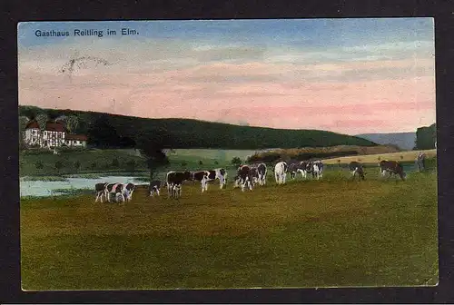 103135 AK Lucklum Gasthaus Reitling im Elm 1912 Weide Kühe