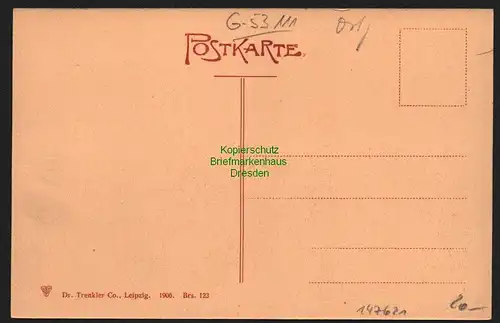 147621 AK Breslau 1906 Markt am Ring Reklame Buchali Samenhandlung Vogelfutter