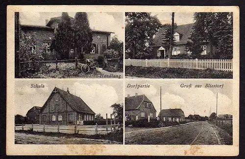 81306 AK Bliestorf Schule  Kolonialwarenhandlung Dorfpartie um 1920