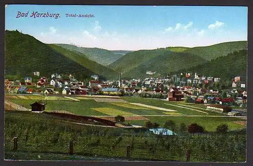 67044 AK Bad Harzburg Totale um 1920