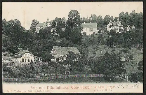 25369 AK Ober Kipsdorf Gustav Holfert Gärtnerei ? , gelaufen 1911