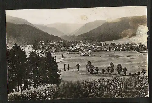 20381 AK Tabarz 1931 Panorama