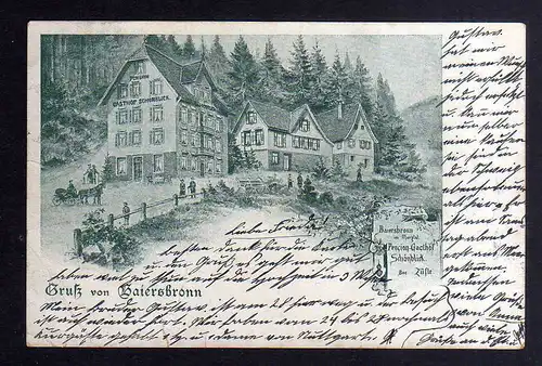 130010 AK Baiersbronn im Murgtal 1904 Pension Gasthof Schönblick