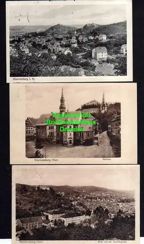 114732 3 AK Blankenburg Harz 1916 Rathaus Panorama Blick von der Teufelsmauer