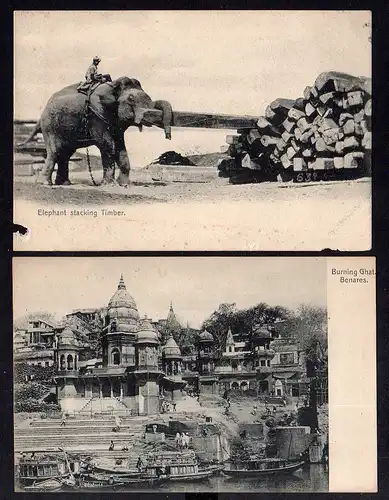 92756 2 AK Indien Elefant Elephant stacking Timber um 1900 Burning Ghat Benares