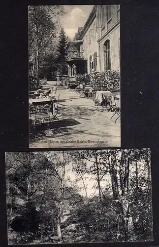 103183 AK Barsinghausen Deister Hotel Garten Barsinghäuser Schweiz 1909