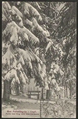 22829 AK Bad Reiboldsgrün Weg Caristurm Wald Baum Bäume Winterbild, gelaufen