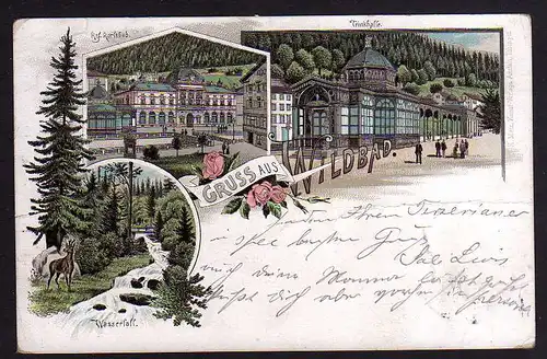 78474 AK Wildbad Litho 1896 Königl. Karlsbad Trinkhalle