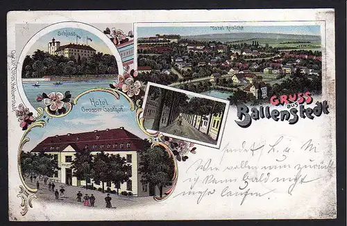 81657 AK Ballenstedt 1898 Litho Schloss Hotel Grosser Gasthof Allee Totale