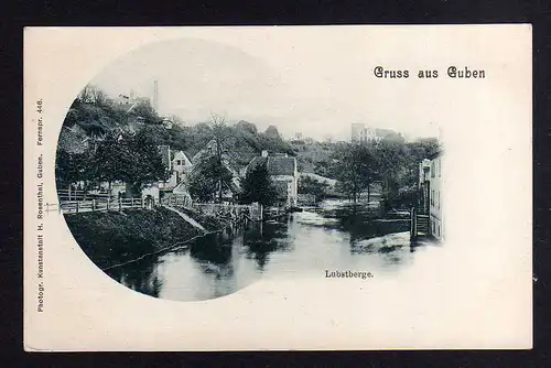 106865 AK Guben Lubstberge um 1905
