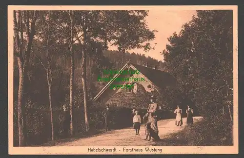 142250 AK Habelschwerdt Forsthaus Wustung 1912