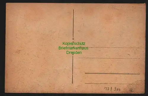 139904 AK Elmshorn Mühlendamm mit Moltke Denkmal um 1920