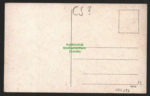 144197 AK Trebnitz Kurhaus Hedwigs-Bad um 1920