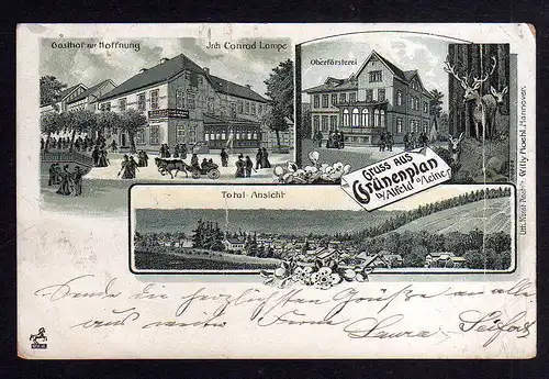 99263 AK Grünenplan b Alfeld Leine Litho 1903 Gasthof zur Hoffnung Oberförsterei