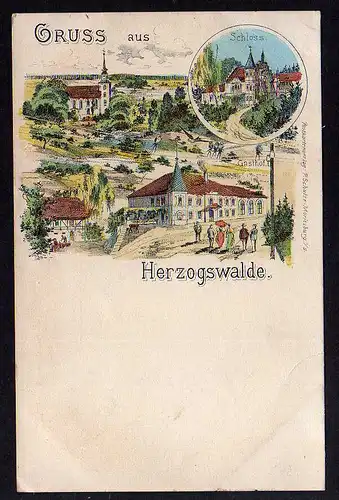 86292 AK Herzogswalde Gasthof Schloss um 1895 typischer Vorläufer Verlag Schulze