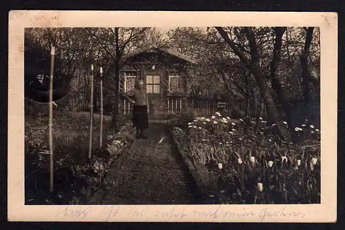83233 AK Schmölln Thür. Unser Garten Gartenlaube 1958